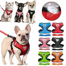 Pet Harness and Buy Online Leash Set Cat and Dog Walking Soft Mesh